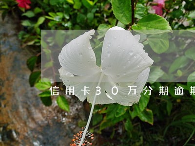 信用卡30万分期逾期 信用卡30万分期逾期