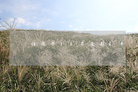 信用卡30万逾期2年 信用卡30万逾期2年