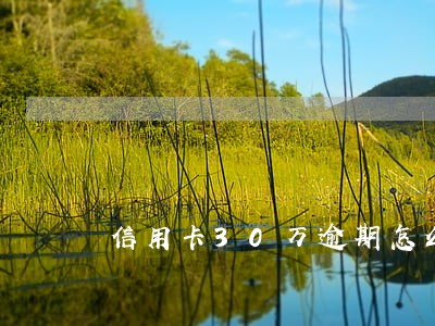 信用卡30万逾期怎么算利息