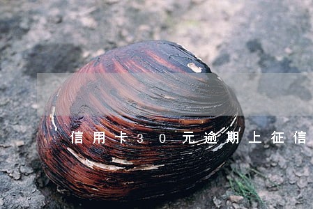 信用卡30元逾期上征信吗