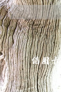 信用卡30块钱逾期一周 信用卡30块钱逾期一周