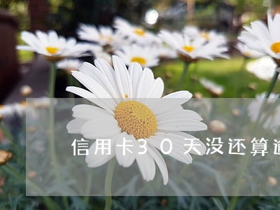 信用卡30天没还算逾期吗 信用卡30天没还算逾期吗