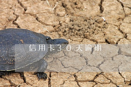 信用卡30天逾期 信用卡30天逾期
