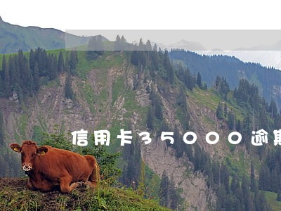 信用卡35000逾期5个月了 信用卡35000逾期5个月了