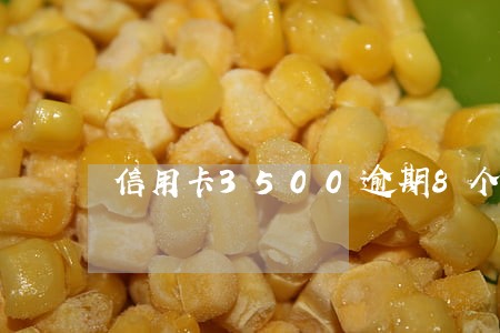 信用卡3500逾期8个月