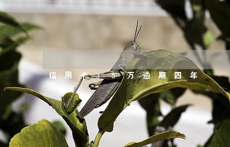 信用卡35万逾期四年 信用卡35万逾期四年