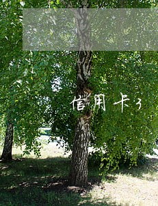 信用卡369逾期有什么后果 信用卡369逾期有什么后果