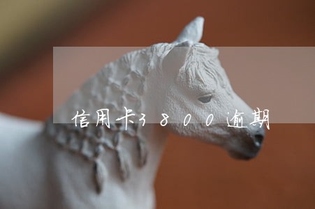 信用卡3800逾期 信用卡3800逾期