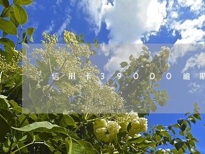信用卡39000逾期两年 信用卡39000逾期两年