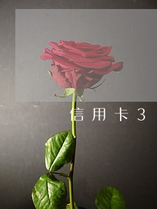 信用卡3万4逾期 信用卡3万4逾期