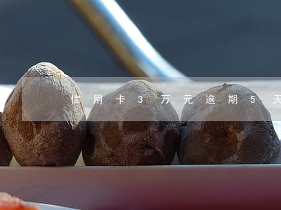 信用卡3万元逾期5天 信用卡3万元逾期5天