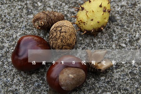 信用卡3万块钱逾期一年利息多少 信用卡3万块钱逾期一年利息多少