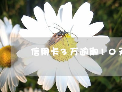 信用卡3万逾期10天多少钱