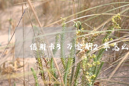 信用卡3万逾期2年怎么办 信用卡3万逾期2年怎么办