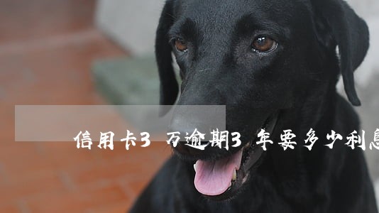 信用卡3万逾期3年要多少利息