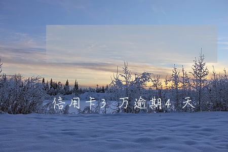 信用卡3万逾期4天 信用卡3万逾期4天