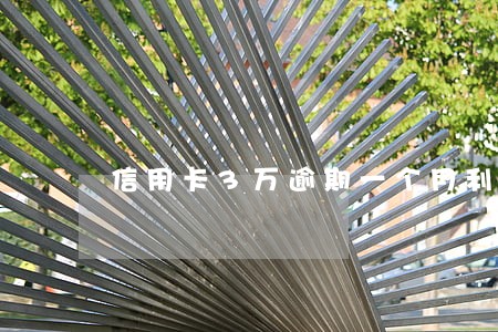 信用卡3万逾期一个月利息 信用卡3万逾期一个月利息