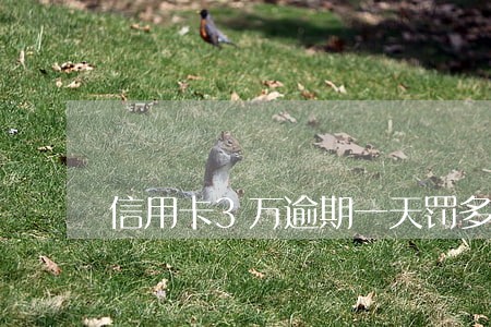 信用卡3万逾期一天罚多少 信用卡3万逾期一天罚多少
