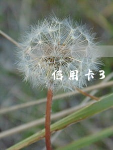 信用卡3万逾期信用卡每月还一百 信用卡3万逾期信用卡每月还一百