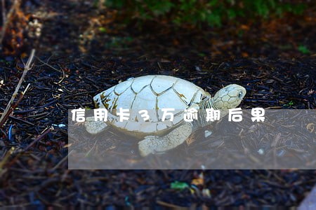 信用卡3万逾期后果 信用卡3万逾期后果