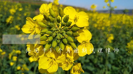信用卡3个月逾期代理律师 信用卡3个月逾期代理律师