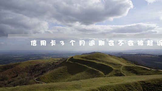 信用卡3个月逾期会不会被起诉 信用卡3个月逾期会不会被起诉