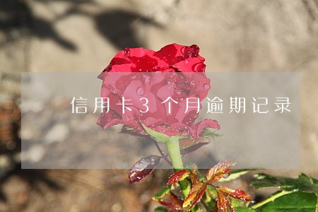 信用卡3个月逾期记录