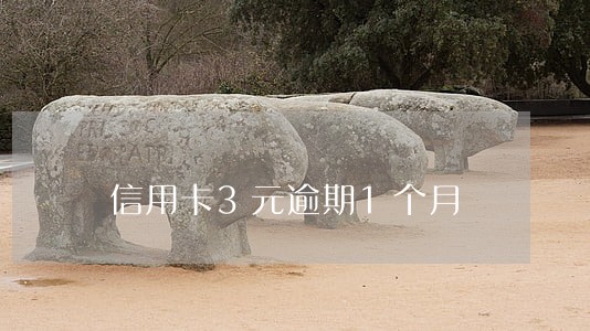 信用卡3元逾期1个月