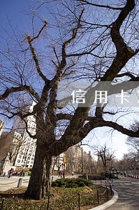 信用卡3元逾期影响征信 信用卡3元逾期影响征信