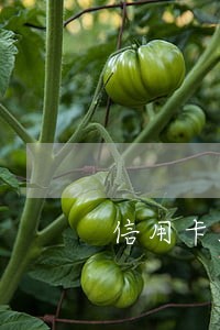 信用卡3千逾期 信用卡3千逾期