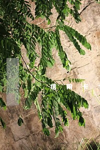 信用卡3千逾期2年要还多少钱 信用卡3千逾期2年要还多少钱