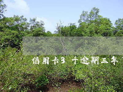 信用卡3千逾期三年了怎么办 信用卡3千逾期三年了怎么办