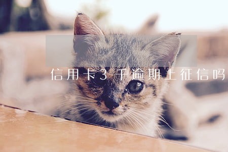 信用卡3千逾期上征信吗 信用卡3千逾期上征信吗