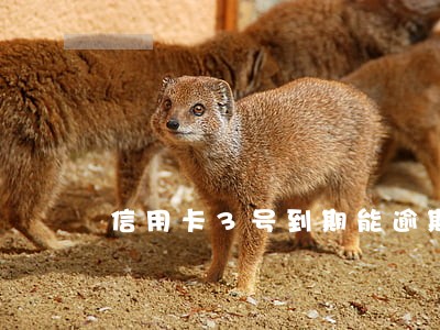 信用卡3号到期能逾期几天 信用卡3号到期能逾期几天