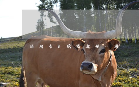 信用卡3块钱逾期一周