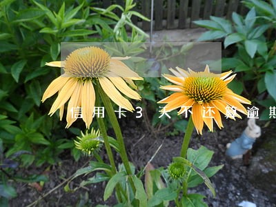 信用卡3天不还算逾期吗 信用卡3天不还算逾期吗
