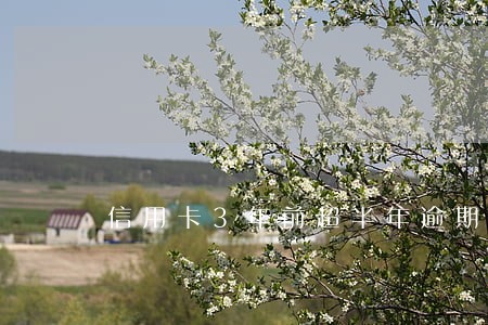 信用卡3年前超半年逾期9次 信用卡3年前超半年逾期9次