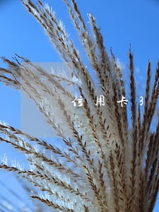 信用卡3张逾期没超过90天 信用卡3张逾期没超过90天
