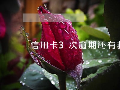 信用卡3次逾期还有救吗 信用卡3次逾期还有救吗