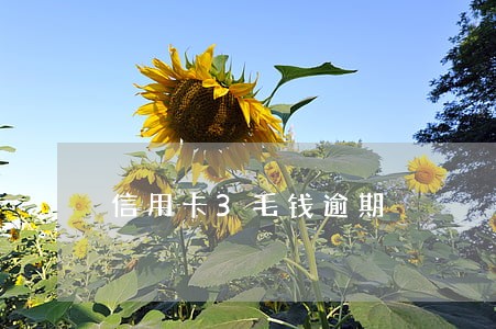 信用卡3毛钱逾期 信用卡3毛钱逾期