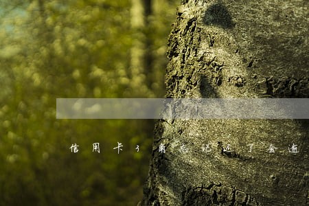 信用卡3角忘记还了会逾期吗