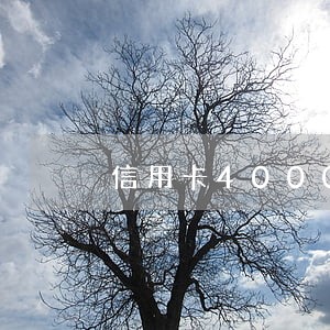 信用卡40000逾期 信用卡40000逾期