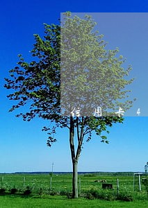 信用卡4000块钱逾期7年 信用卡4000块钱逾期7年