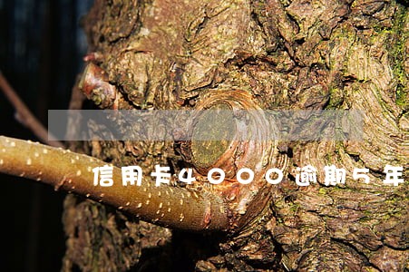信用卡4000逾期5年无力偿还 信用卡4000逾期5年无力偿还