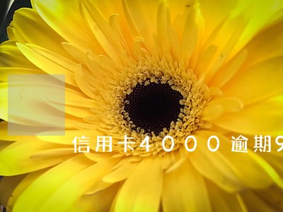 信用卡4000逾期90天 信用卡4000逾期90天