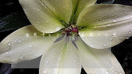 信用卡4000逾期六个月 信用卡4000逾期六个月