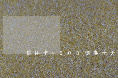 信用卡4000逾期十天多少钱