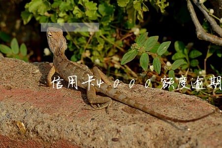 信用卡4000额度逾期 信用卡4000额度逾期
