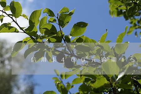 信用卡400元逾期15天 信用卡400元逾期15天