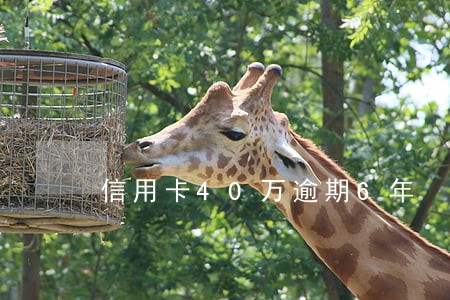 信用卡40万逾期6年 信用卡40万逾期6年